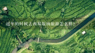 过年的时候去西双版纳旅游怎么样？