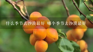 什么季节去沙漠最好 哪个季节去沙漠最好