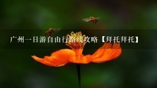 广州一日游自由行路线攻略【拜托拜托】