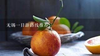 无锡一日游路线推荐