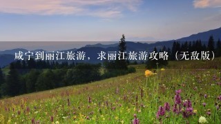 咸宁到丽江旅游，求丽江旅游攻略（无敌版）电子版