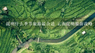 昆明什么季节旅游最合适 云南昆明旅游攻略