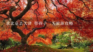 求北京去天津 带孩子二天旅游攻略