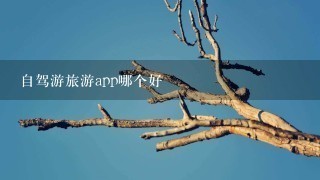 自驾游旅游app哪个好