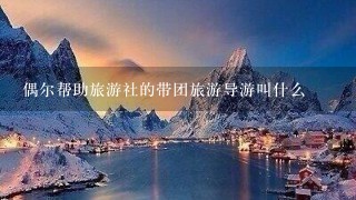 偶尔帮助旅游社的带团旅游导游叫什么