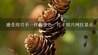 感受绍兴不一样的景色，打卡绍兴网红景点，推荐五个