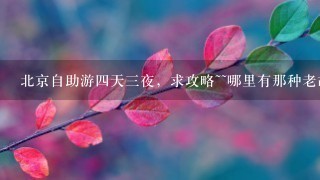 北京自助游四天三夜，求攻略~~哪里有那种老胡同四合院的.....