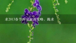 求2013春节西安旅游攻略，跪求