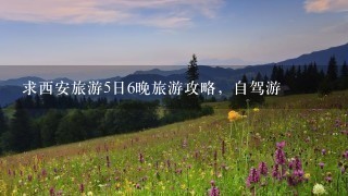 求西安旅游5日6晚旅游攻略，自驾游