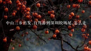 中山三乡出发,自驾游到深圳较场尾,怎么走