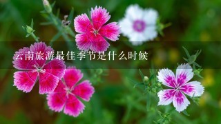 云南旅游最佳季节是什么时候