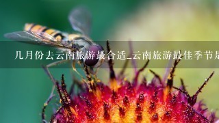 几月份去云南旅游最合适_云南旅游最佳季节是几月