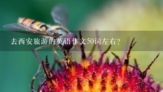 去西安旅游的英语作文50词左右？