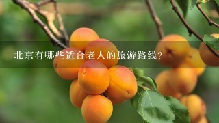 北京有哪些适合老人的旅游路线？