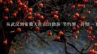 从武汉到安徽天柱山自助游~节约型，介绍一下！