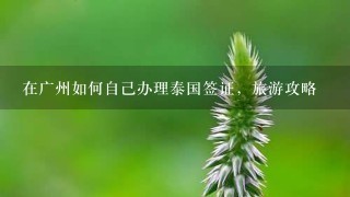 在广州如何自己办理泰国签证，旅游攻略