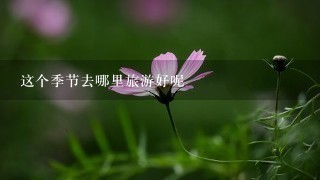 这个季节去哪里旅游好呢