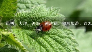 昆明、大理、洱海、泸沽湖、和顺旅游，该怎样走比较好？