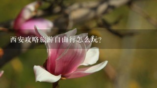 西安攻略旅游自由行怎么玩？