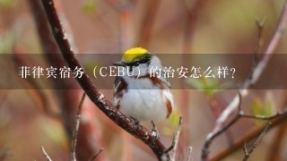 菲律宾宿务（CEBU）的治安怎么样？