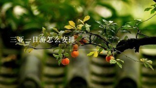 三亚一日游怎么安排