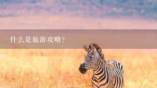 什么是旅游攻略？