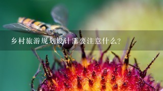 乡村旅游规划设计需要注意什么？