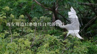 西安周边12条绝佳自驾游路线