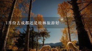 1月份去成都还是桂林旅游好