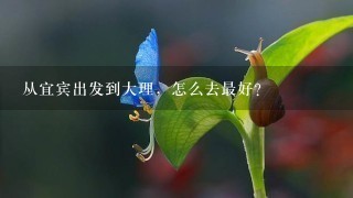 从宜宾出发到大理，怎么去最好？