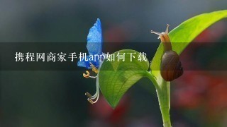 携程网商家手机app如何下载