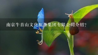 南京牛首山文化旅游集团有限公司介绍？