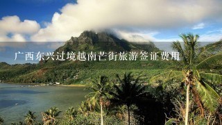 广西东兴过境越南芒街旅游签证费用