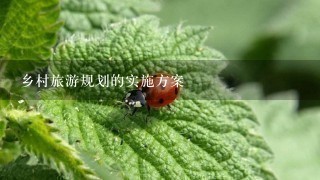 乡村旅游规划的实施方案