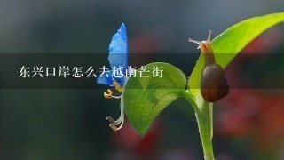 东兴口岸怎么去越南芒街