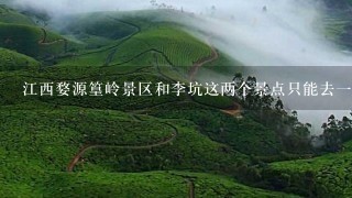 江西婺源篁岭景区和李坑这两个景点只能去一个、去哪个更好？