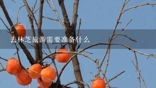 去林芝旅游需要准备什么