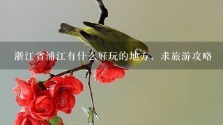 浙江省浦江有什么好玩的地方，求旅游攻略