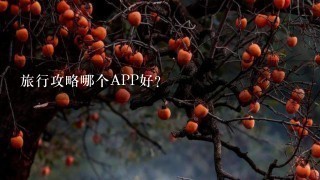 旅行攻略哪个APP好？