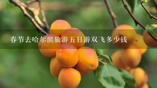 春节去哈尔滨旅游五日游双飞多少钱