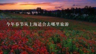 今年春节从上海适合去哪里旅游