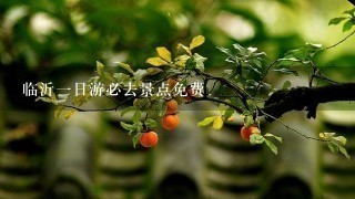 临沂一日游必去景点免费