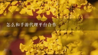 怎么和手游代理平台合作