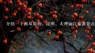 介绍一下西双版纳，昆明，大理丽江旅游景点，从昆明到大理和西双版纳坐汽车要多久？