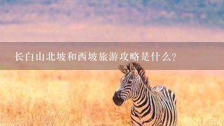 长白山北坡和西坡旅游攻略是什么？