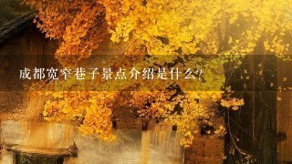 成都宽窄巷子景点介绍是什么？