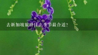 去新加坡旅游什么季节最合适？