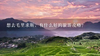 想去毛里求斯，有什么好的旅游攻略?