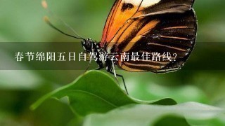 春节绵阳五日自驾游云南最佳路线？