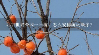 北京世界公园一日游，怎么安排游玩顺序？